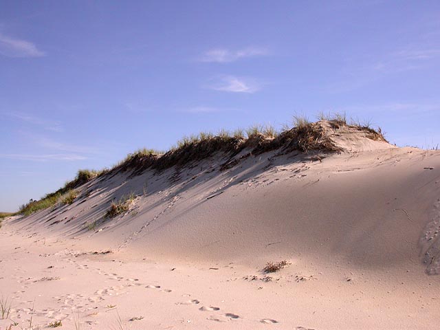 beach sand dunes. crane each sand dune (ipswich